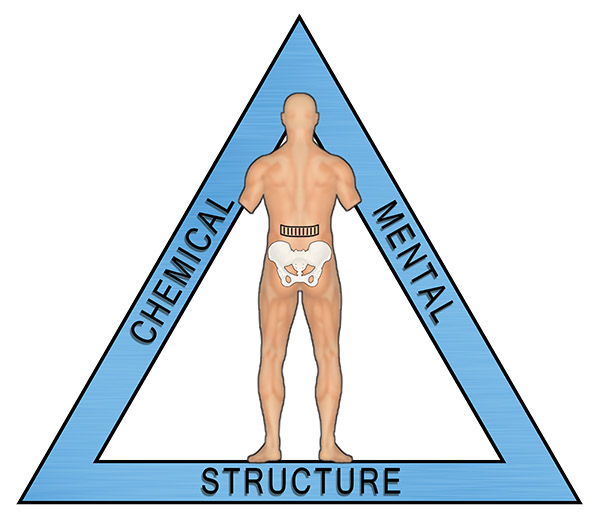 Triad of Health - structural, chemical, mental / emotional - ICAK-USA